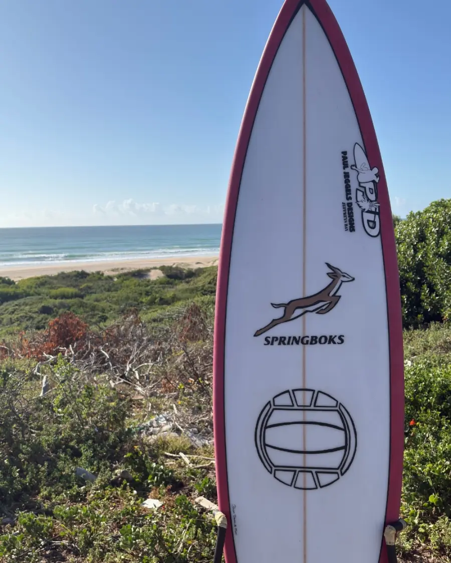 PJD surfboard design 1